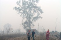Местные жители собирают урожай, который не смог уничтожить огонь. с. Верхняя Верея. Фото на следующий день после пожара