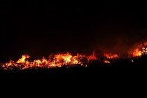 Огонь до горизонта. Пожар уничтожил несколько поселков в Выксунском районе