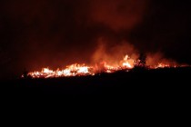 Огонь до горизонта. Пожар уничтожил несколько поселков в Выксунском районе