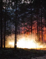Особый противопожарный режим вводится на территории Нижегородской области с 1 мая