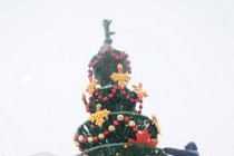 Верхушка новогодней елки