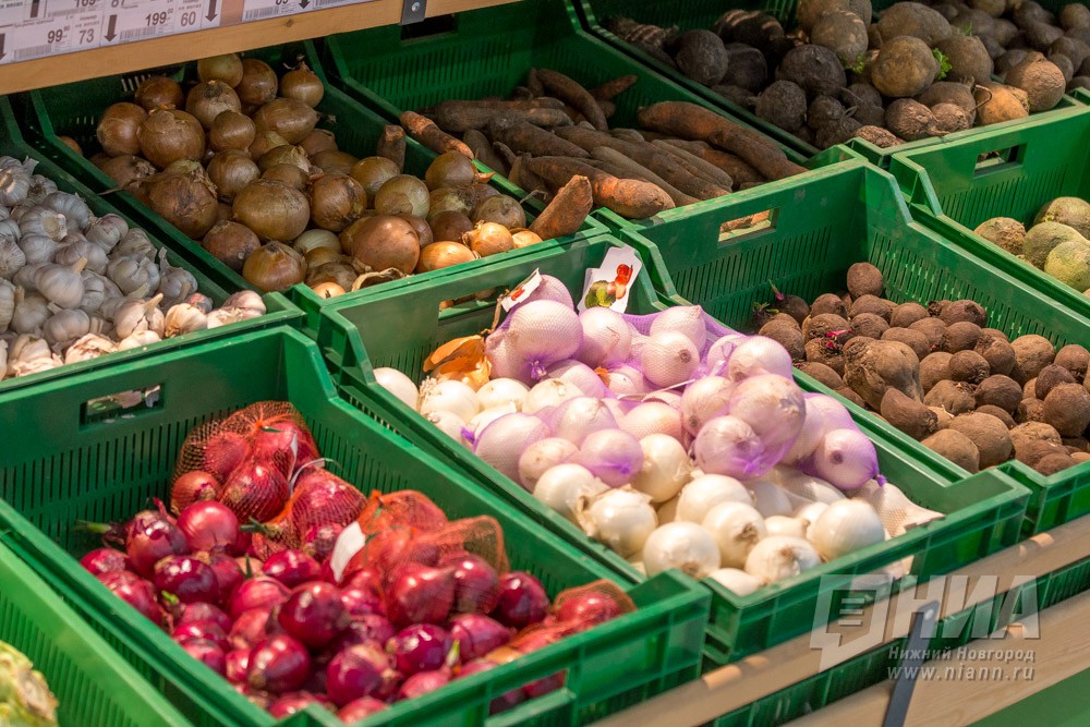 Морковь, капуста, лимоны и груши упали в цене в Нижегородской области к середине осени