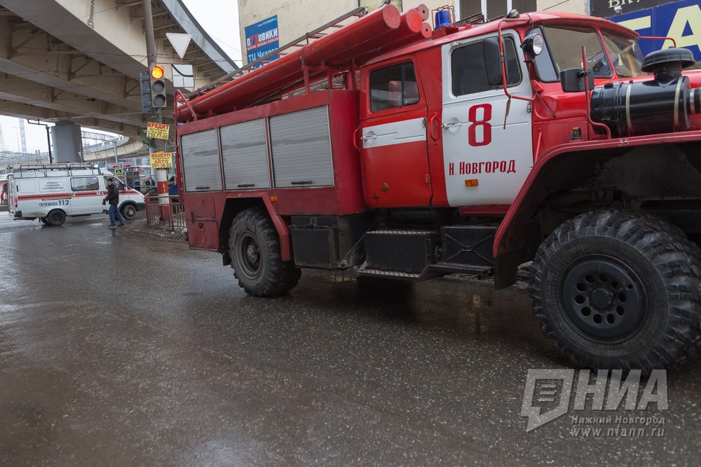 Три поросенка сгорели на пожаре в Нижегородской области 8 января