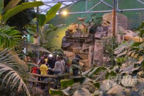 Вольерный комплекс Амазония в нижегородском зоопарке Лимпопо
