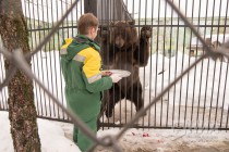 Звериная масленица в нижегородском зоопарке Лимпопо