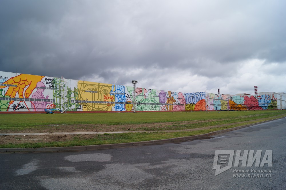 Граффити из Нижегородской области стало наибольшим в европейских странах и РФ