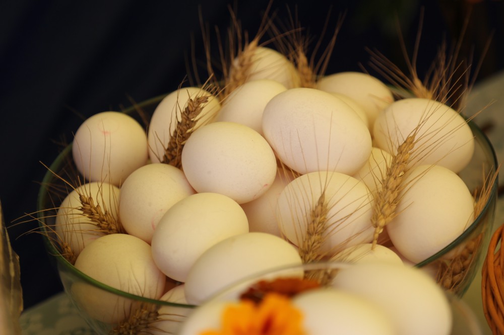 Более 1 млрд яиц было произведено в Нижегородской области в январе-октябре