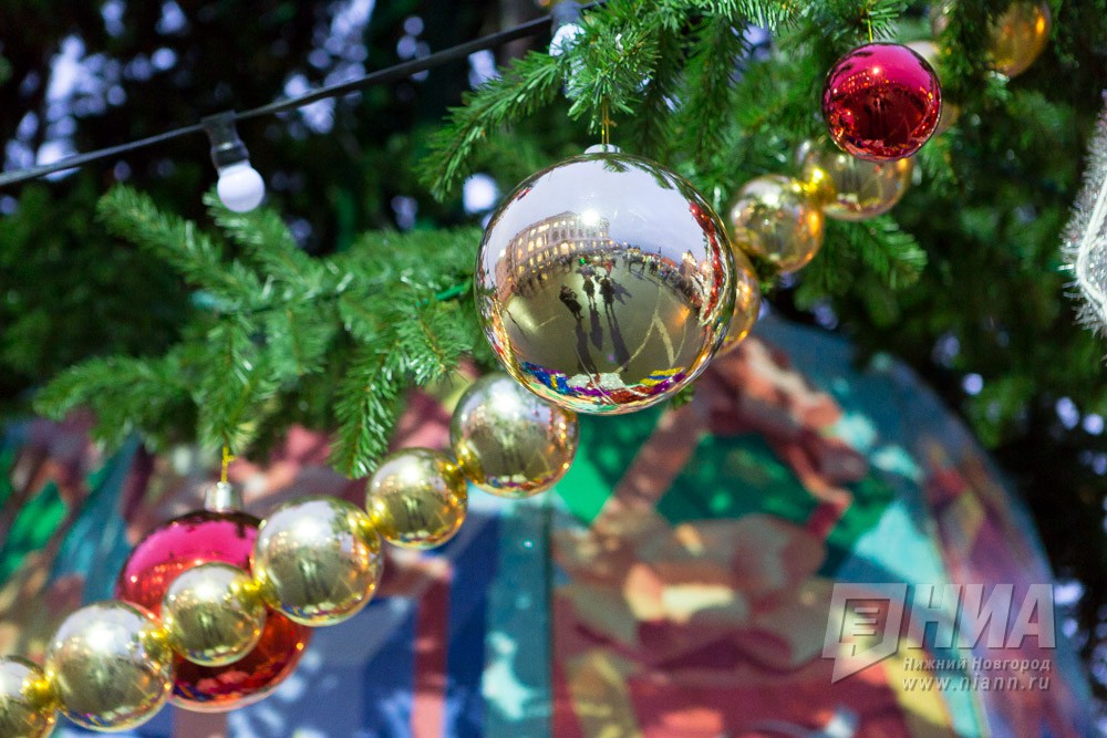 Две компании из Санкт-Петербурга претендуют на конкурс по установке новогодней ели в Нижнем Новгороде