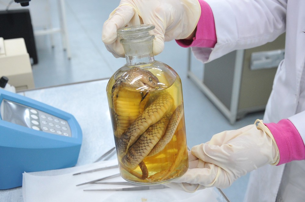 Таможенники задержали в нижегородском аэропорту туриста из Вьетнама с заспиртованной коброй