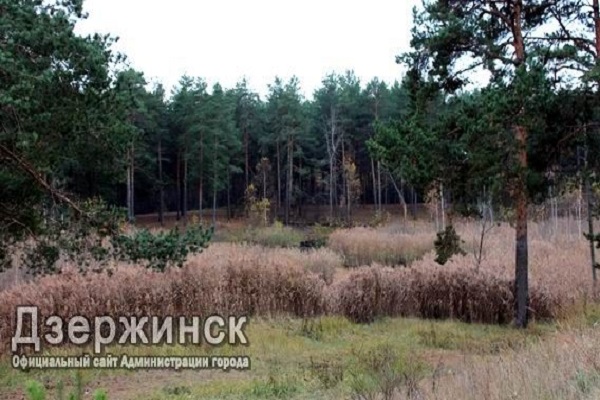 Проект благоустройства территории у озера Утиное представят в Дзержинске Нижегородской области в начале 2019 года