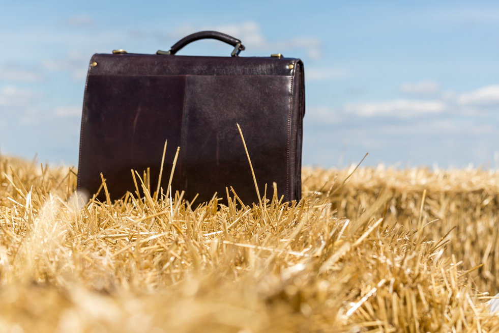 Нижегородская область увеличит господдержку фермерства в 2019 году