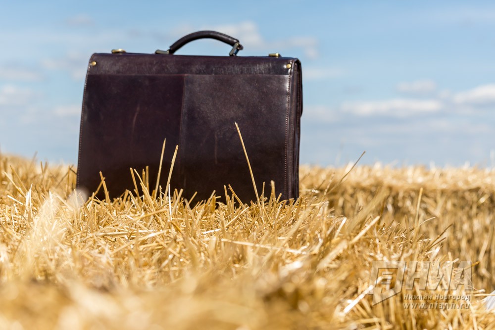 Более 4 млрд рублей направят на поддержку нижегородских аграриев в 2019 году 