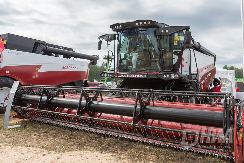 Нижегородская область вошла в четверку лидеров ПФО по экспорту продукции АПК 