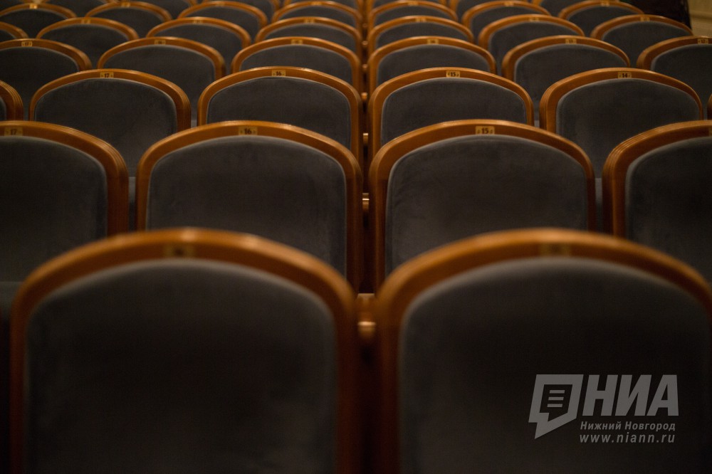 Президентские гранты на поддержку культуры и искусства увеличатся