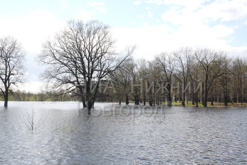 Паводок в Нижегородской области ожидается во второй декаде марта