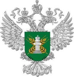 Россельхознадзор запретил ввоз более 40 тонн какао-бобов для Сормовской кондитерской фабрики