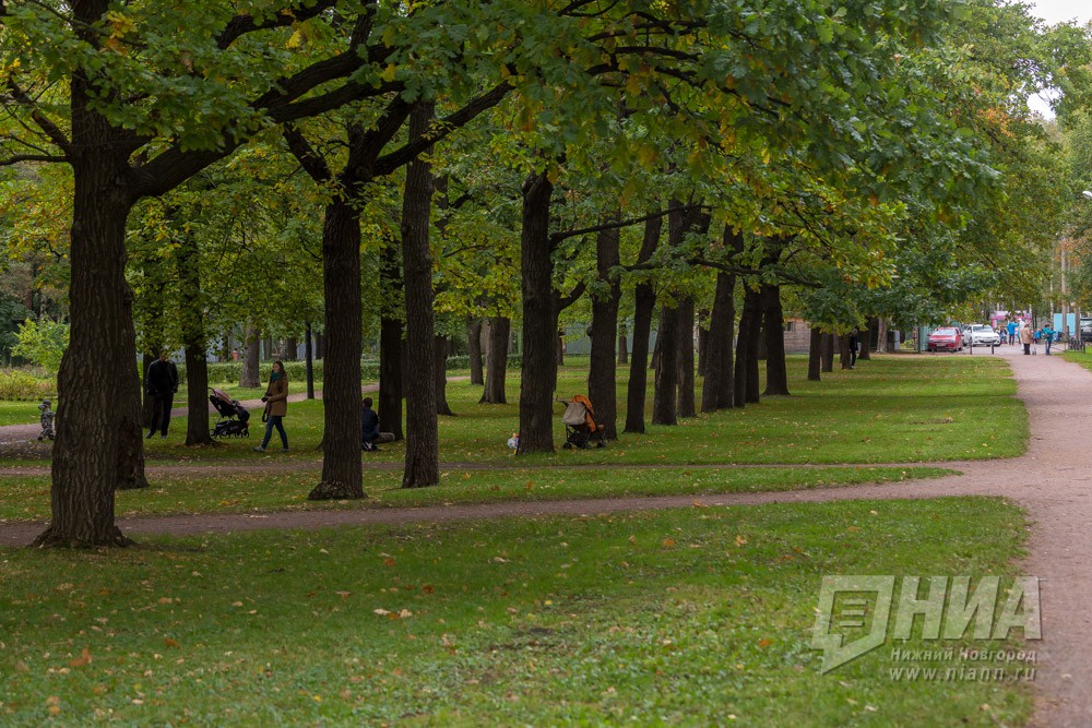 Открылась регистрация на нижегородский экологический форум "Зеленый Нижний 2020"