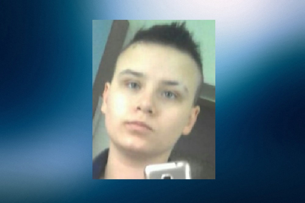 Нижегородские волонтеры ищут сбежавшую из психбольницы Дарью Сенкевич 