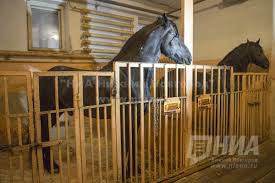 Лошадь стала виновницей ДТП, где погибли трое нижегородцев