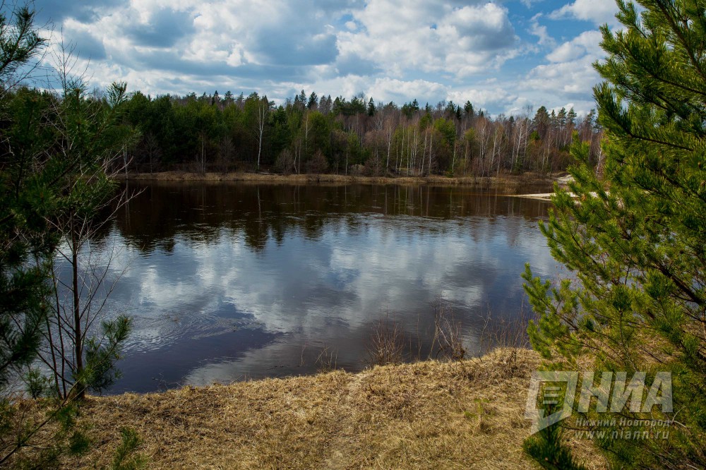 Нижегородцам предлагают стать экологическими инспекторами