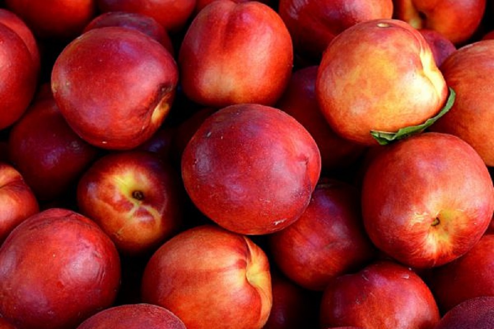 Нектарины с плодожоркой завезли в Нижегородскую область 