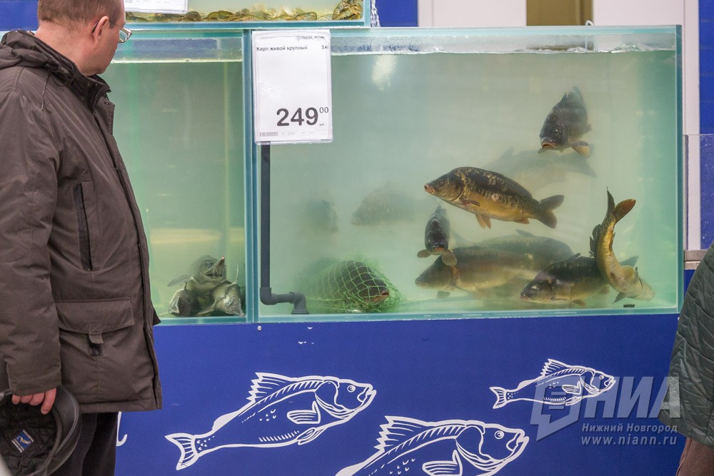 Рыба, которую не стоит есть: 107 партий рыбной продукции снято с реализации в Нижегородской области