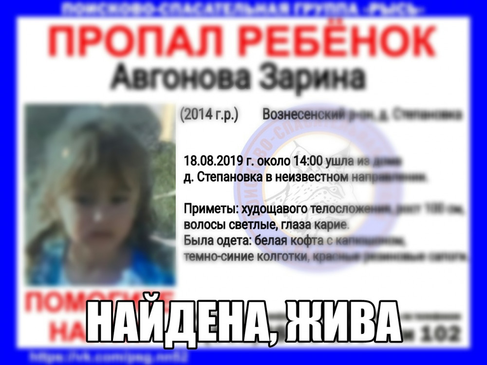 Пропавшую в нижегородском лесу пятилетнюю Зарину Авгонову нашли живой 