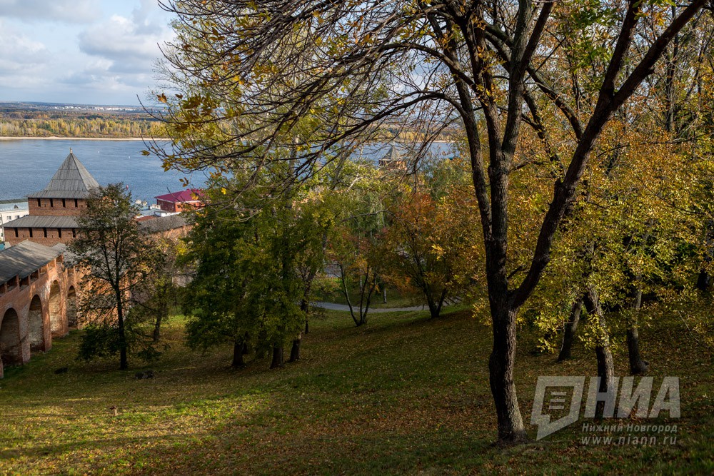 Похолодание и дожди прогнозируются в последнюю неделю августа в Нижегородской области 