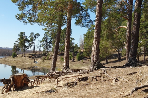 Дзержинск представил три объекта для проекта "Вам решать"