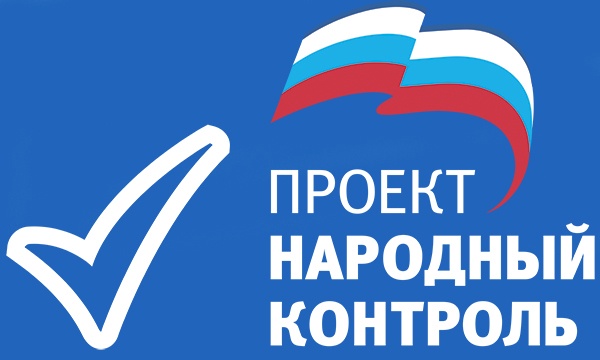 "Единая Россия" выработала методы борьбы с недобросовестными коллекторами