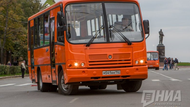 НПАТ за I полугодие увеличил выручку на 30%