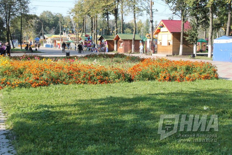 Исполнение нацпроектов оценили в семи районах Нижегородской области