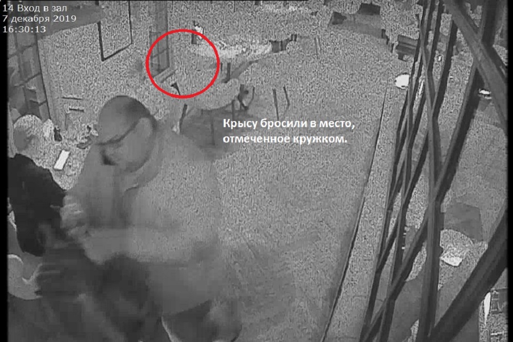 Руководство нижегородского ресторана утверждает, что крысу в зал подбросили