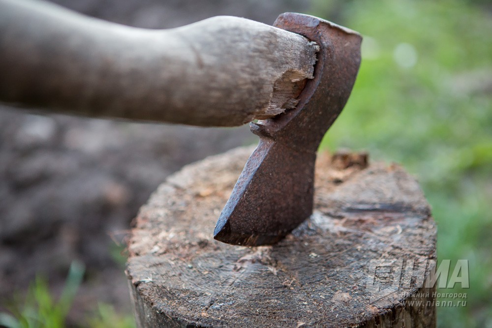 Нижегородец подозревается в убийстве напарника по бизнесу