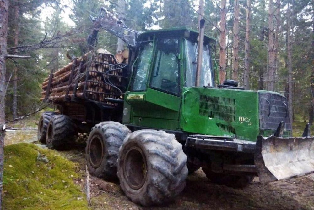 Житель Уренского района вырубил лес на 17 млн рублей