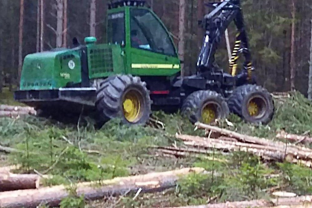 Житель Уренского района вырубил лес на 17 млн рублей