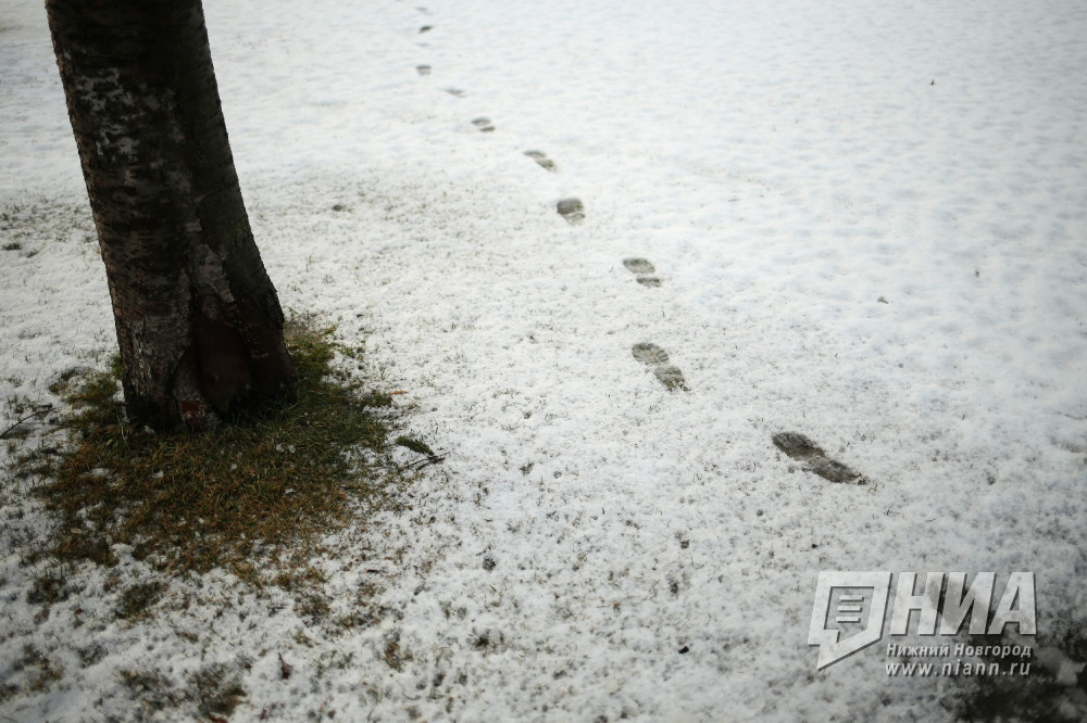Неожиданность или уже никого не удивит? Синоптики рассказали о погоде в Нижнем Новгороде