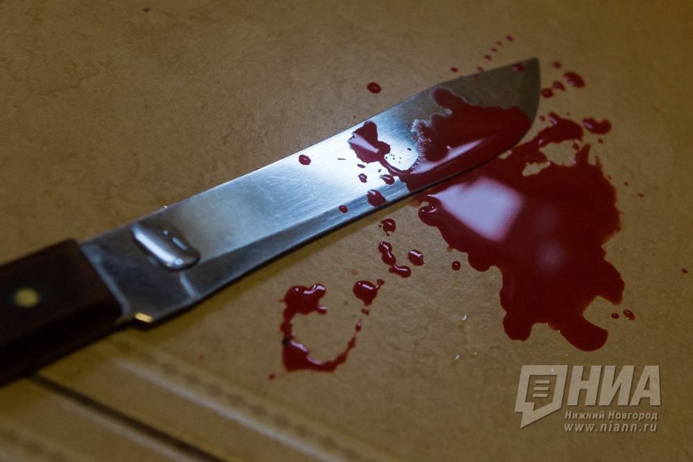 Ранее судимая нижегородка подозревается в убийстве сожителя 23 февраля 