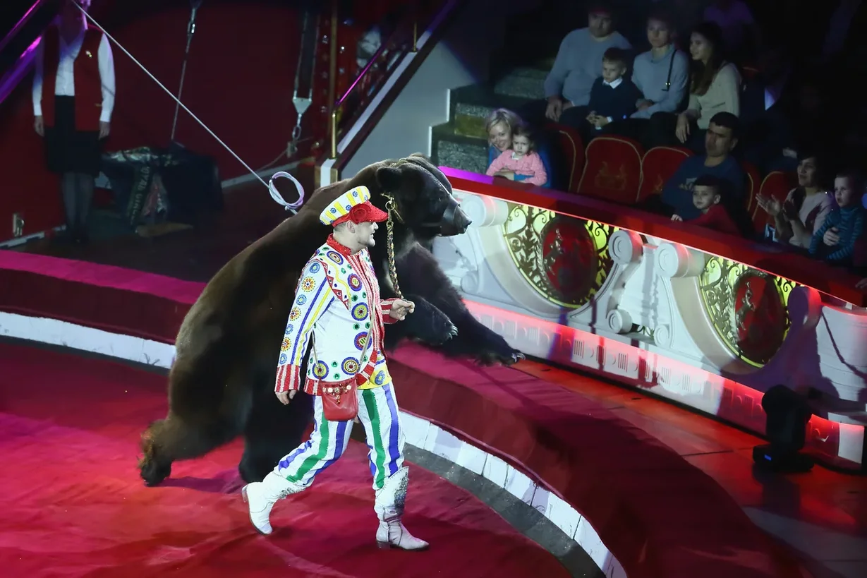 Премьера нового шоу Гии Эрадзе "Бурлеск" пройдёт в нижегородском цирке 14 марта 