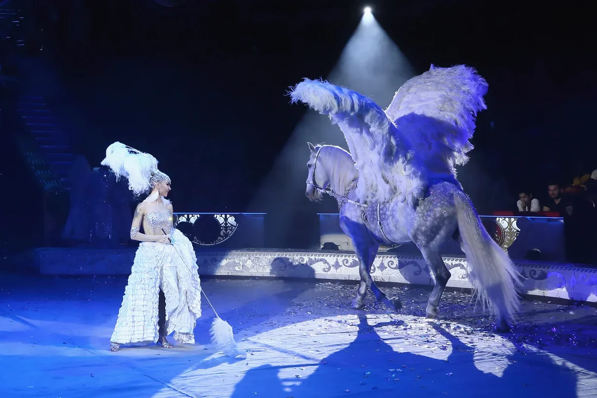 Номер под дождем, необычное танго и рекордные трюки увидят нижегородцы на премьере шоу Гии Эрадзе "Бурлеск"