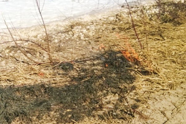 Почти 24 тысячи кв. метров сухой травы сгорело в Нижегородской области