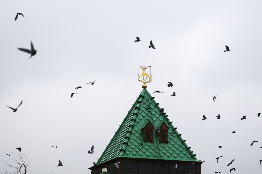 Почти 1,5 тысячи ИП Нижнего Новгорода получили разрешение работать во время пандемии