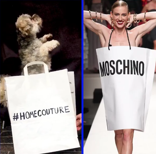 А ну-ка, повтори: нижегородцы активно поддерживают флешмобы в соцсетях