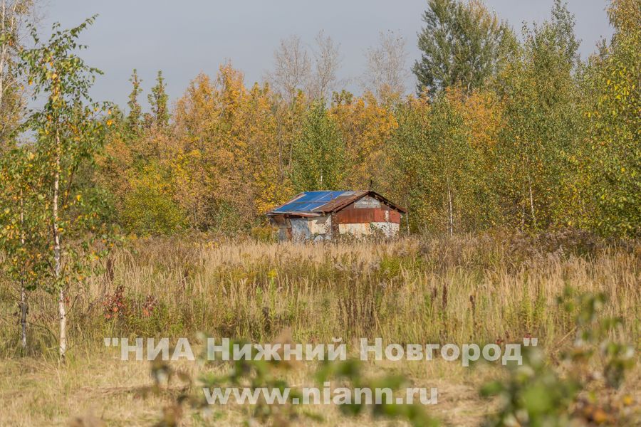 Количество бесхозных земельных участков в Нижегородской области сократилось на 20%
