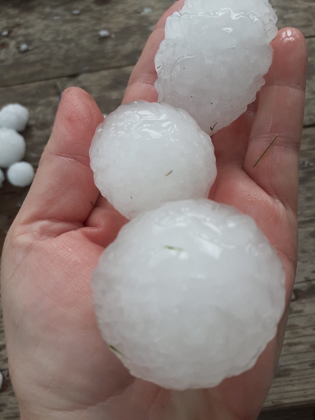 Град размером с перепелиное яйцо выпал в Починках