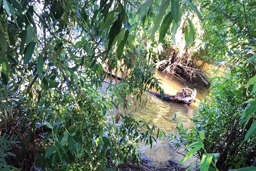 Тело нижегородки обнаружили в Оке
