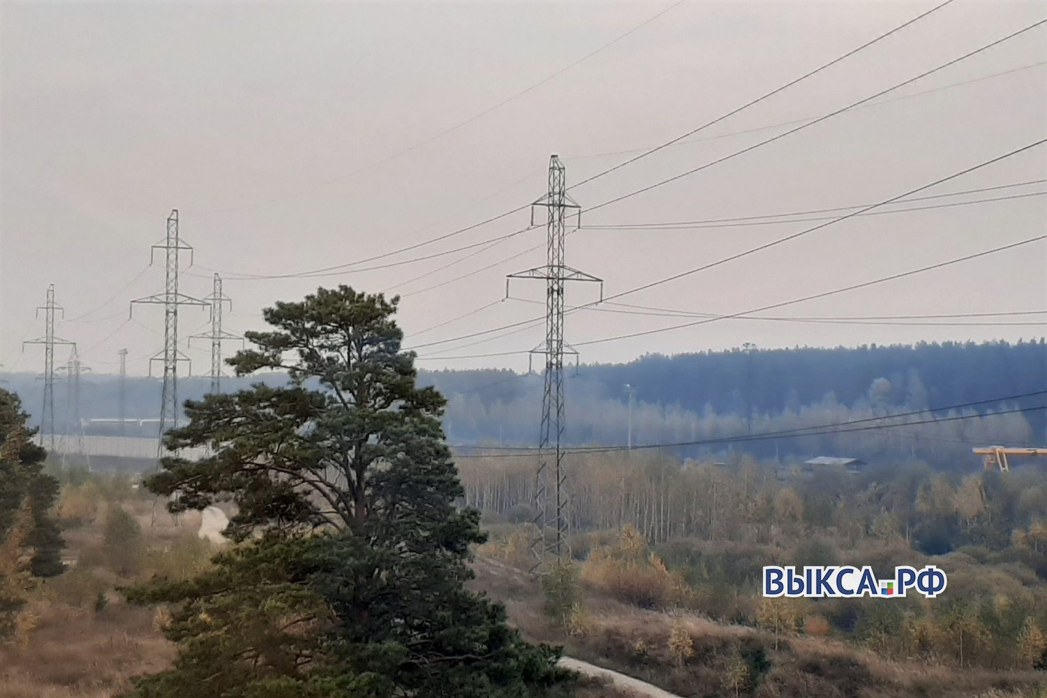 Выксу окутал дым от лесных пожаров в Рязанской области