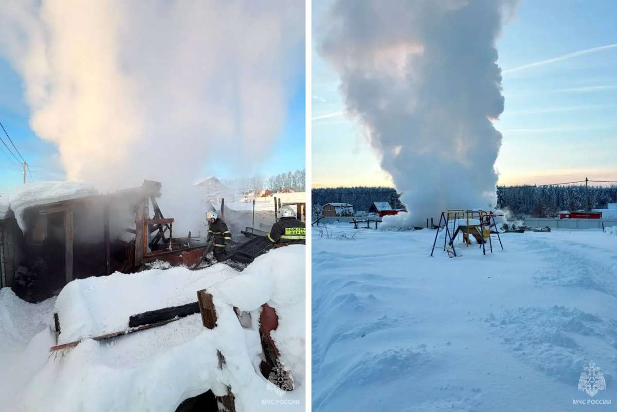 Курятник сгорел на 48 "квадратах" в Богородском округе