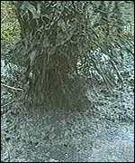 179 различных стран уже заявили о том, что не позволят Вашингтону диктовать свои условия в международной политике