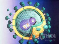 Французские исследователи нашли лекарство против СПИДа